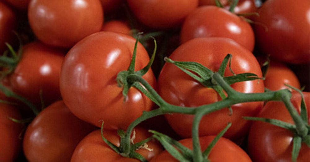 ����� ������ ��������� �� ����� ������������������� �������� � ���������