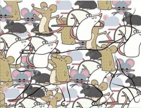 ���������?. ����������� ���� �� ��������! ����� ����