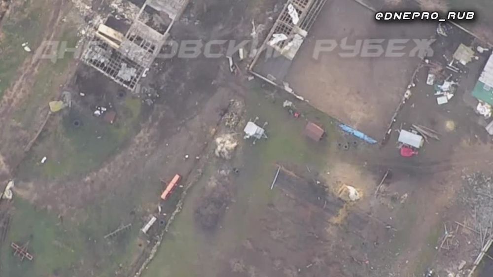 ����������� ����� "�����". ���������� �����������