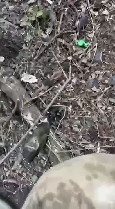 ������������ �������� BMC "Kirpi" ���