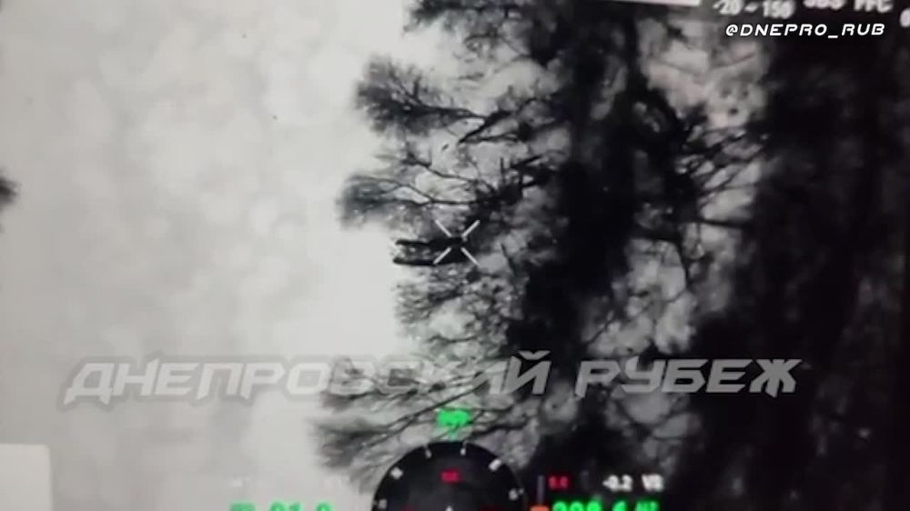 ����������� ����� "�����". ���������� �����������