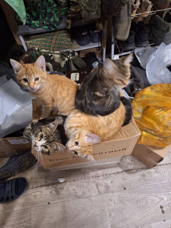 ������� ����������: � �������������� �� ����� ������� �����������?!