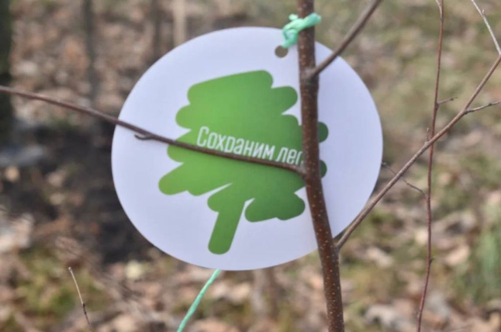 � ������ ����� "�������� ���" �� ���������� �������� ����� 40 ����� ��������