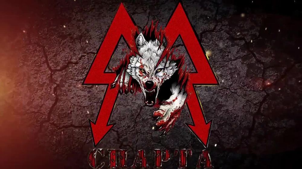 ����� ��������� ������������ ��� ����������� ������� FPV-������ ��� "������"