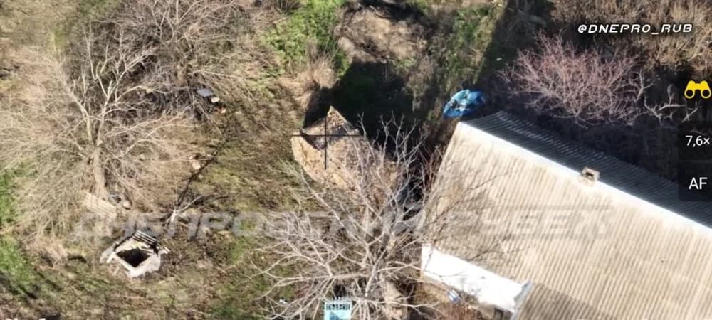 ����������� ����� "�����". ���������� �����������