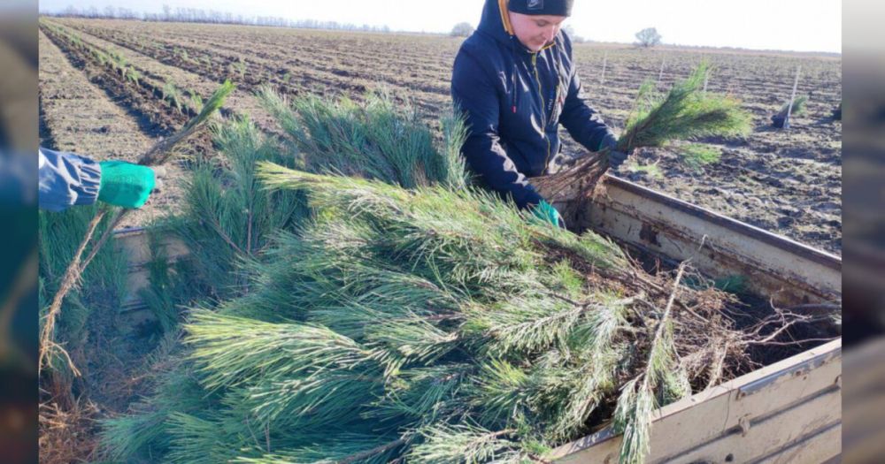 ��������� �������� 40 ����� �������� � ���������� �������