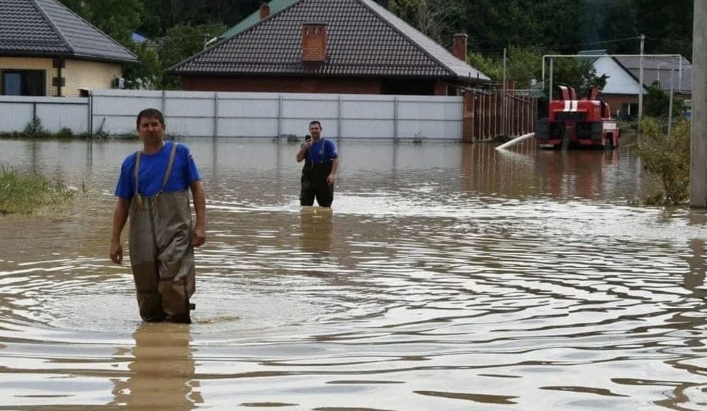 � ���������� ������� ������������ ����������� ����������