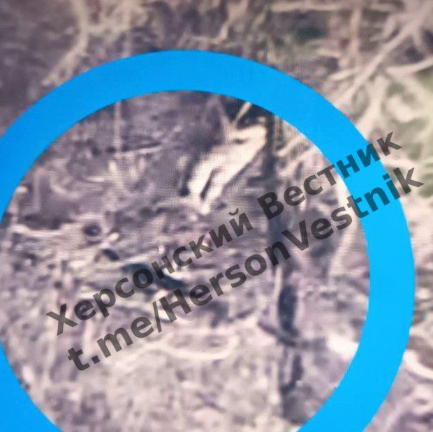 #���������. �������������� ����������� ����� ������ ������ ���� ������� ���������� ���������� ��������, ������� �������� �� ����!