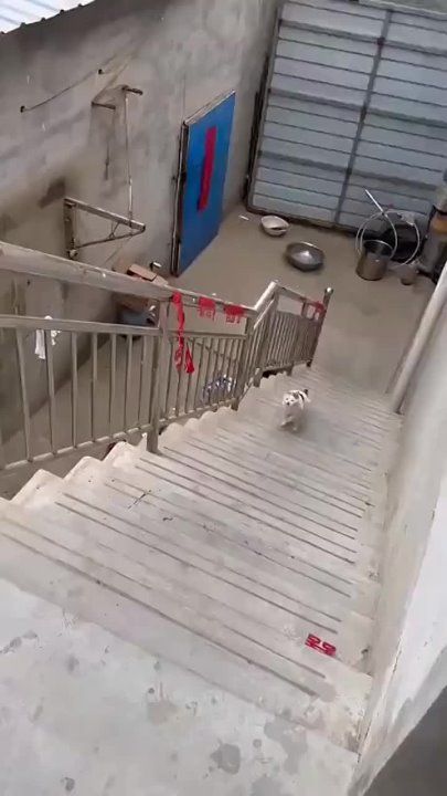 ����� ���������� �������� � ��������, �������� � �� � ����