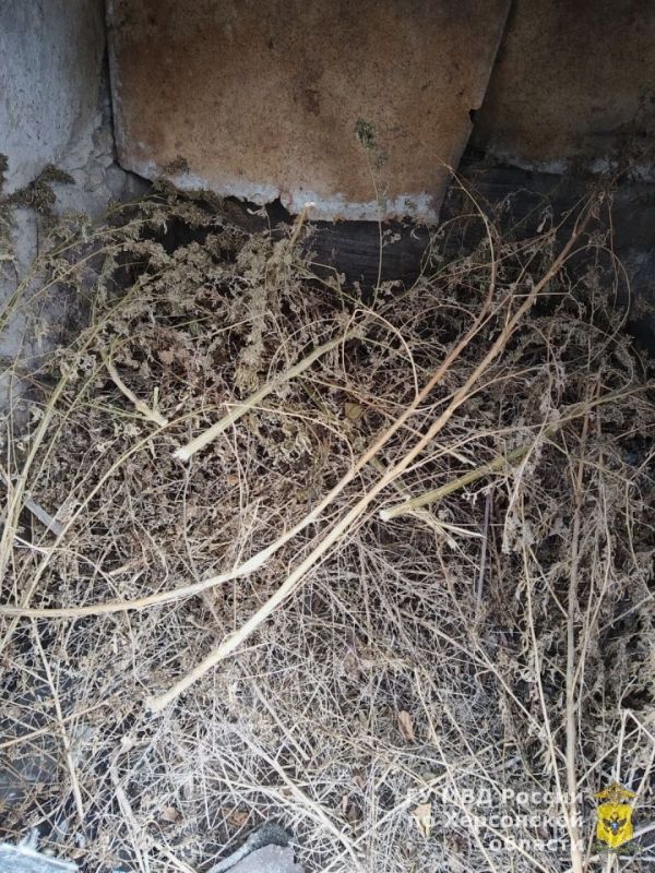 � ����������� ������ ����������� ���������� � �������� ������ ����� 3 �� ���������� ������ �������