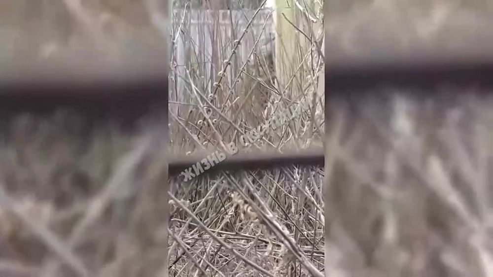 � �� ��� ������.... �������������� �������� ��� ���� ������ ������ ����������