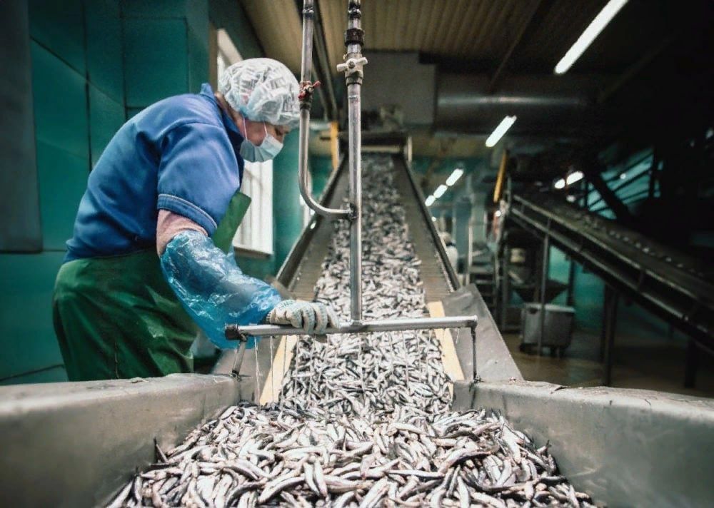 ���������� �������. �� ���������� �������� ��������������, �������������� ������ � ��������� �� ��������� �����������...