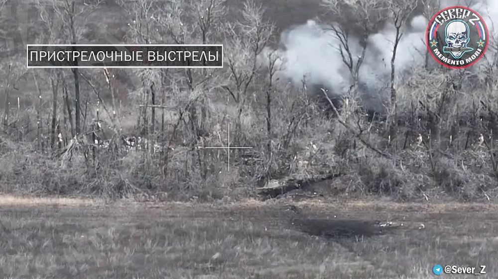 ������ ������ ������������� ������� ������-Z(V)� �� ����������� �����������