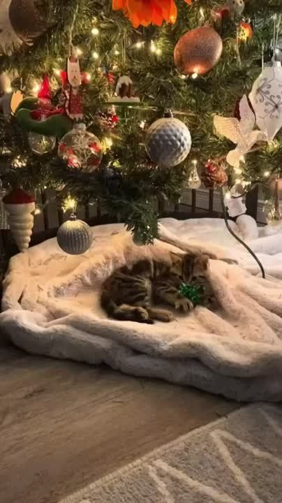 � ������ �����, �����������!