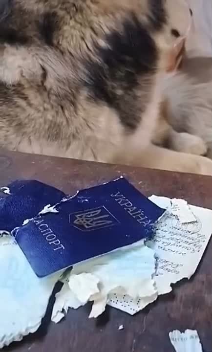 � ������� ��������� 2 ����� ��������� �� ��������� �������