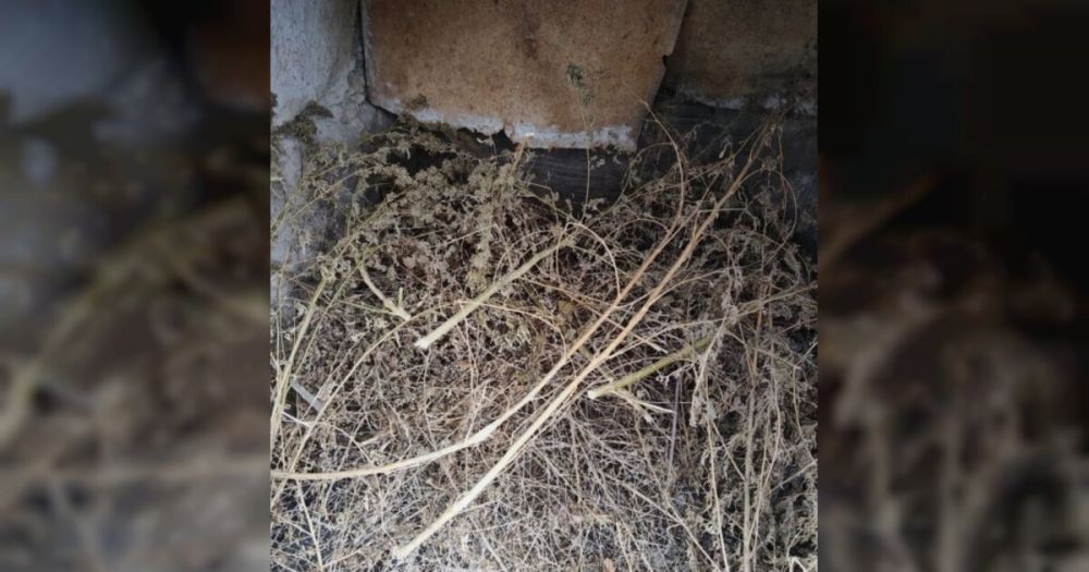 ������ ������� ����� ������ ������ ��������� � ���� ����� �������