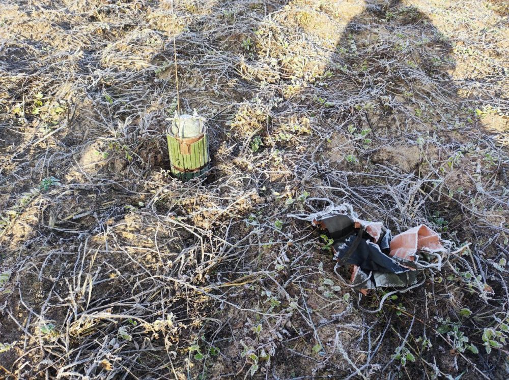 �������������� �� �� ������ ���������