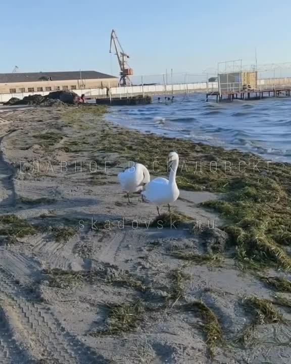 ������, ������ � ������ � ��� ��������� ����� �� ����� � ���������