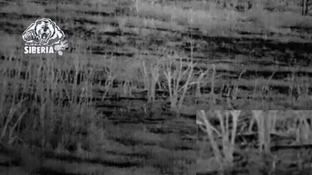 �������������� ����� ����������� ����� ���������� ���������� ��������� � ������ �.�. ������