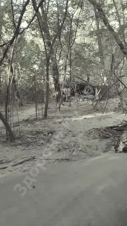 � �� ��� ������.... �� ������������ ���������� �������� � ���������� ���������� ������ 44-������ �������� ���������� � ������������ �������� �������� ���������� ������� � �������� �� "��������� ������� ����������� ���������"