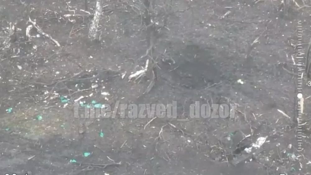 ������������ 20 ����� ��������� ���������� ���� � ���������� � ������ ��������� ���������� ���