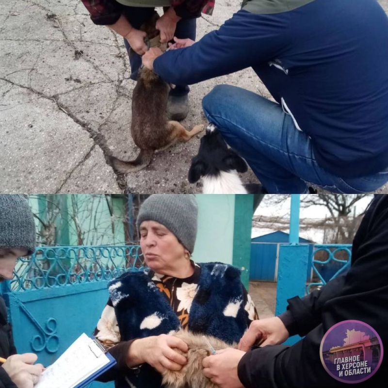 � ������������� ������� ���������� �������� ��������