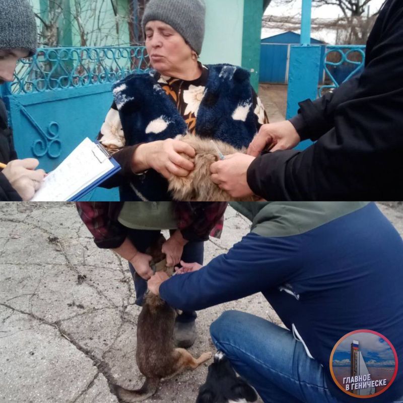 � ���������� ������ �������� �������� ������� �� ���������