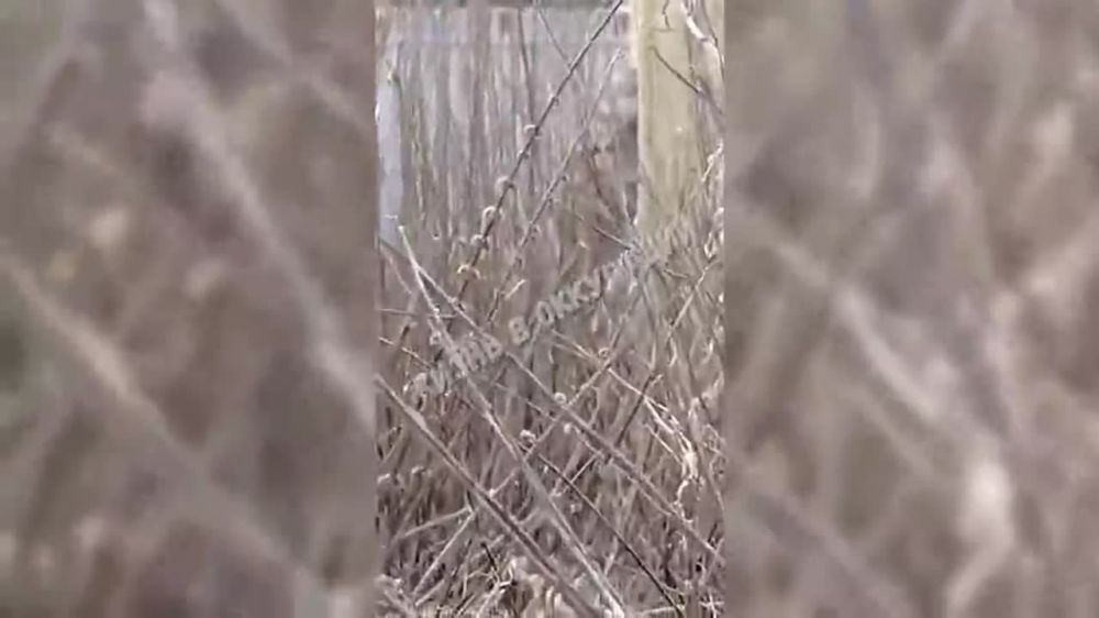 ������� ����, �� ���������� ���� �������� ������ � �����: ����� ��� ���������� ������������ ������� ������������ ���������� �������