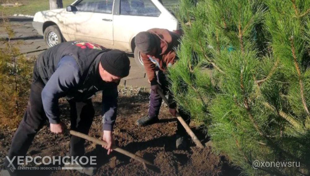 � ��������� ������ �������� ��� ������ ��������� �������� ����� 70 �������� � �����������