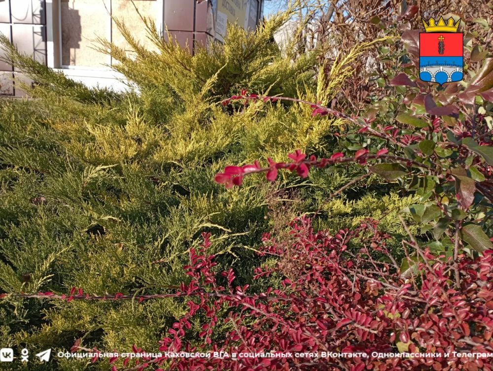 ������ ����, �������!. @VGA_Kakhovka