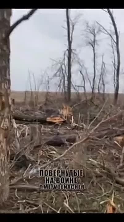 �������� ����������� ��� VAB �� ����������� �����������