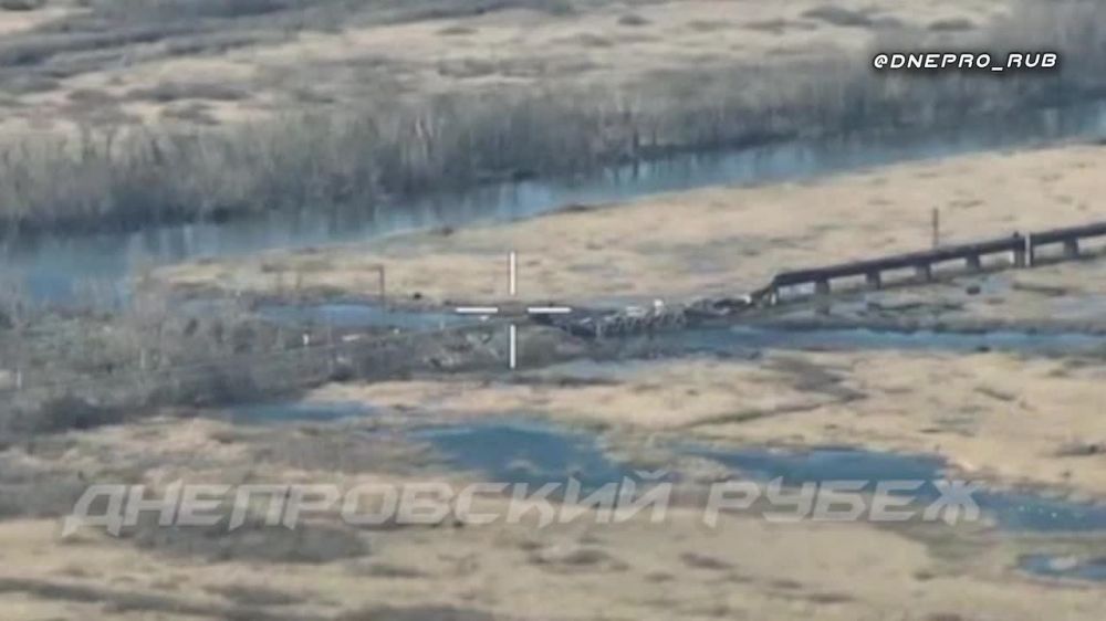 ����������� ����� "�����". ���������� �����������