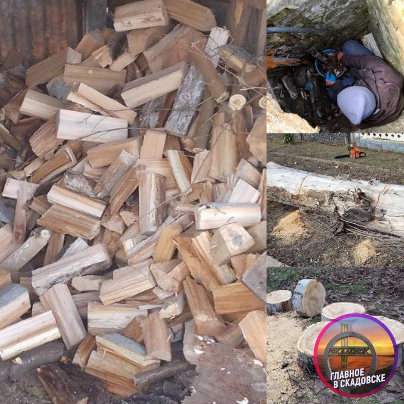 ���������� ���������� ������������� ������� ������������� ���������