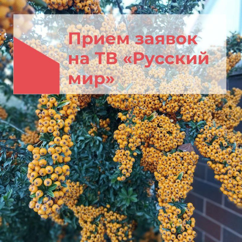 ������� �������������!. � ������������� ������������� (� ����������) ����������� ����� ����� ������ �� ���������� ����������� �� �������� ���. ��� ����� ��������� � ��������� ���������� ���������� ���������