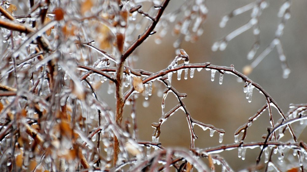 ������ ���������� ������� ������������ �� ��������� ������