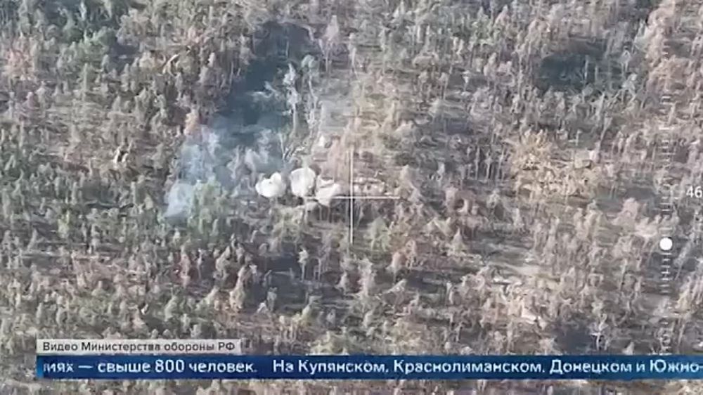 ������ ��� �� ����� ��������� ����� 800 ��������