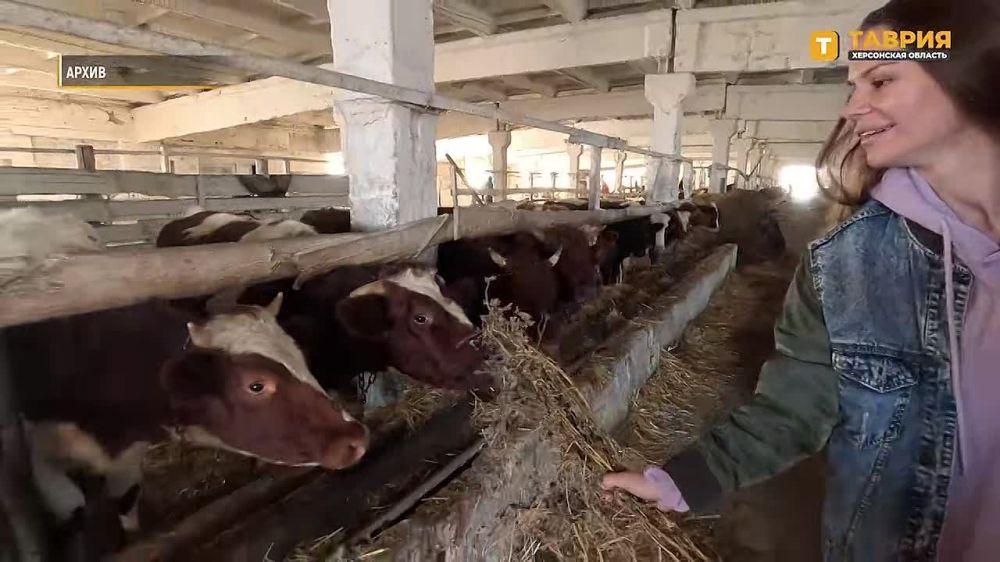 � ���������� ������� ��������� ������� ������������ "Z� ������"