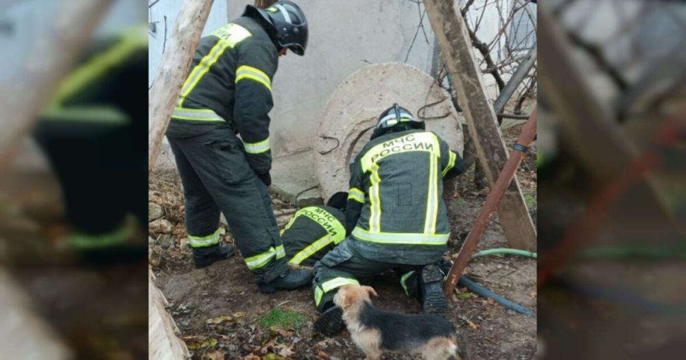 ����� 70 ������� ��������� �� ����� ���������� ������ ���������� �� �������� ����