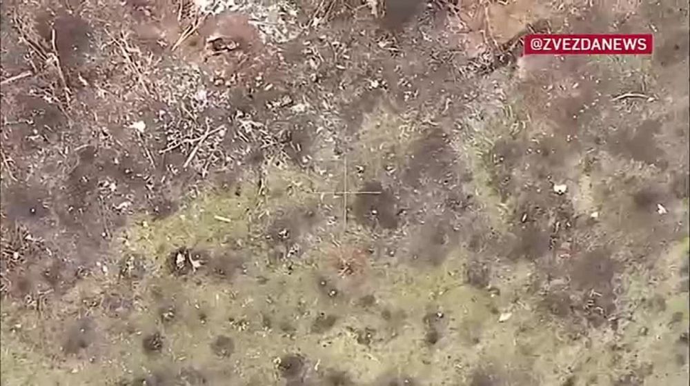 ����� ������� ���������� �������� ������ ������������ ���