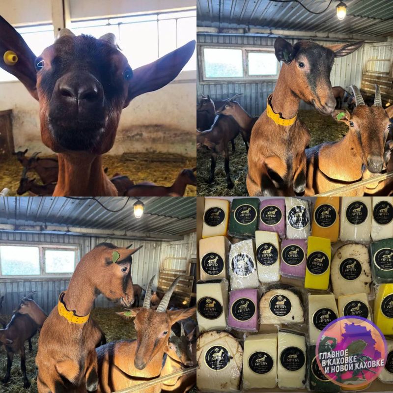 � ���������� ���� ������������� ������� ����� � �� ������������� ������ ���� ����� �����������