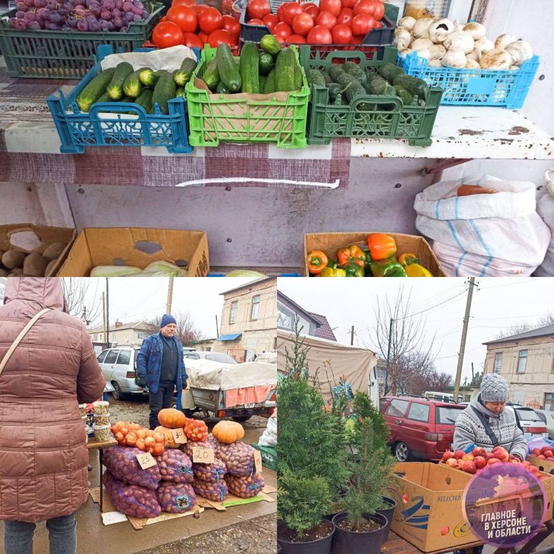 � �������� ���������� ������� ����������������