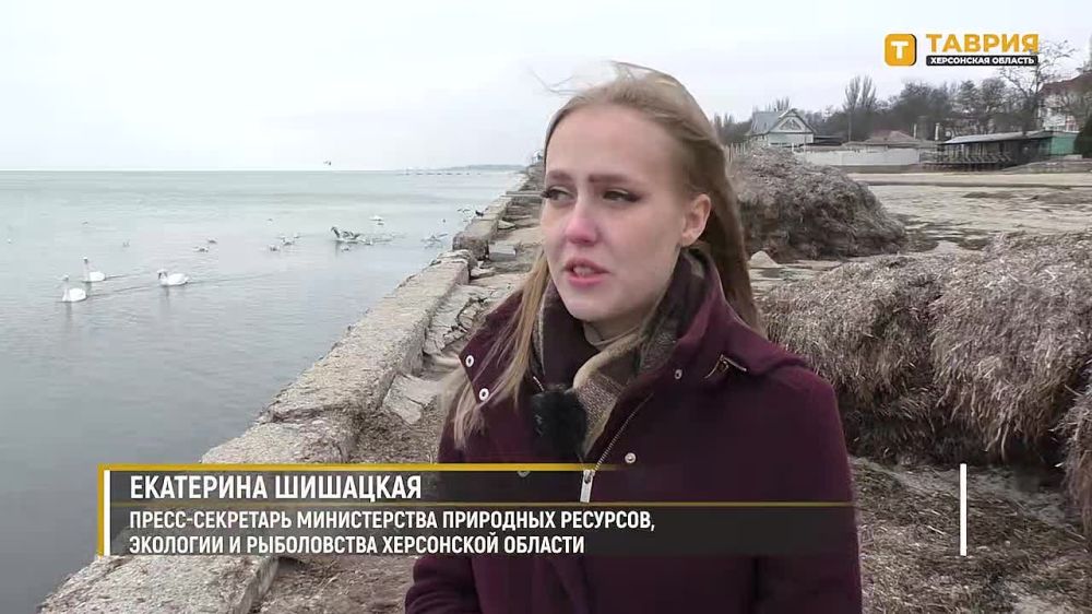 � ���������� ������� �� ������� ��������� ������