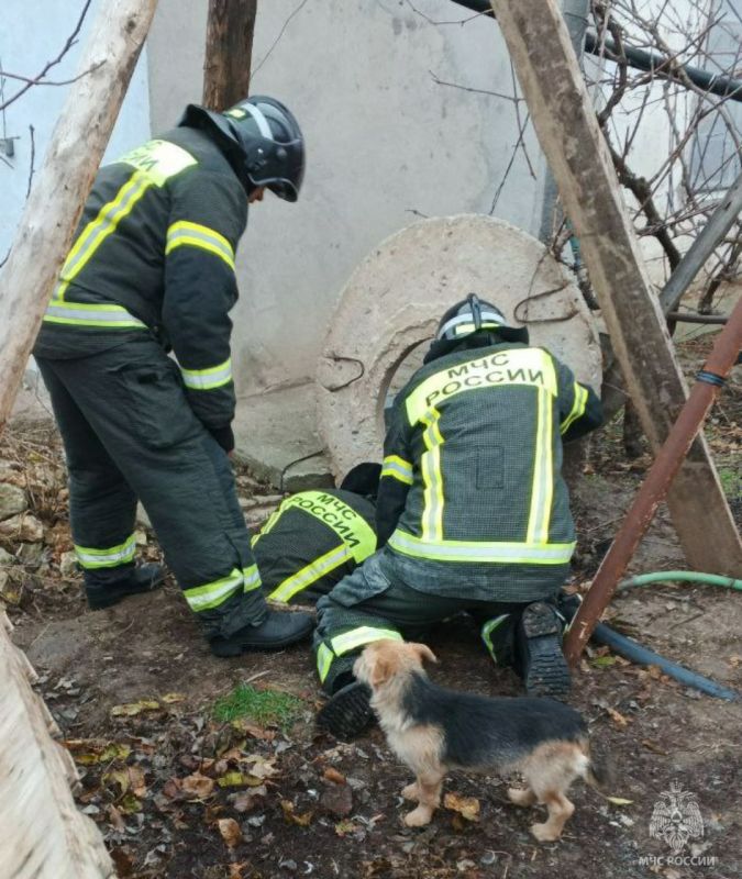 ����������� ���������� �� ��������� ����� �� ���������� ���������� �������