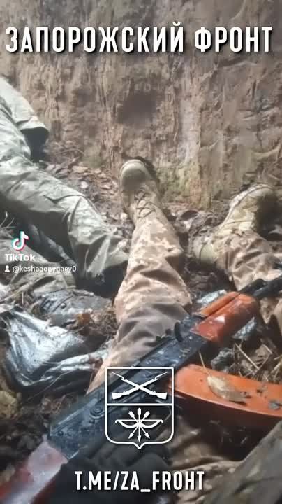 ��� ���� ����� � ��������� �� ���� �������, ������� ���� ����� ������� ������� �� ����