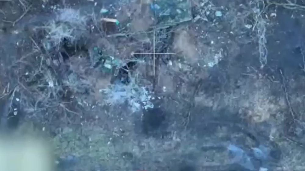 ������ 14 ��������� ����������� ������� �������� � ������ �������������