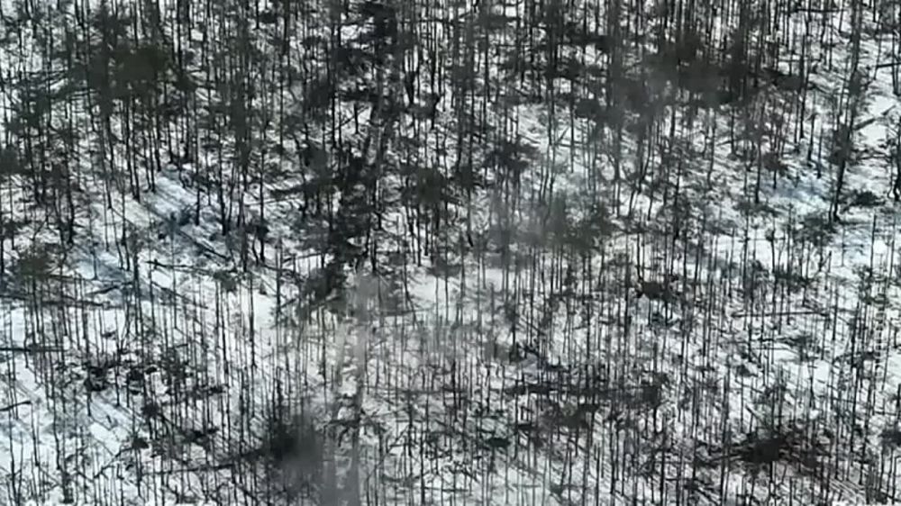 ����������� ������ ������� ��� �� ���������� �����������