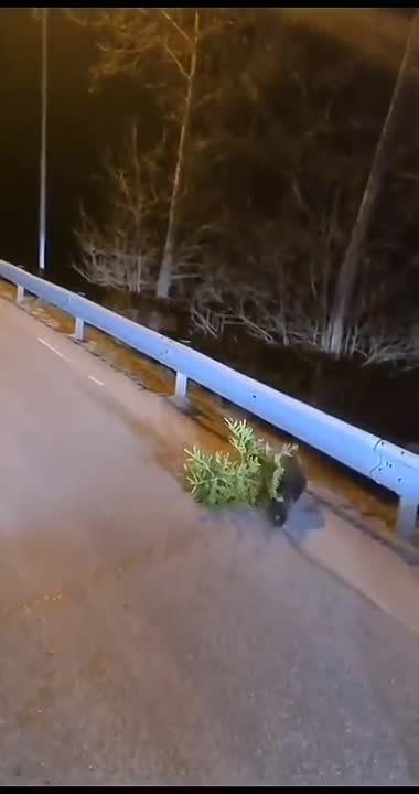 ������ ����� ��� ���������� � ������ ����