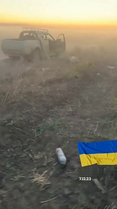 "�����������" ������ "�� �����"