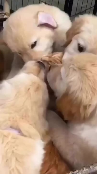 ������� ��� �����... ��� ����������, ��� � ���� ����� �����