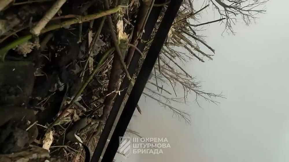 ���-����� ���������� ��������� � �� ����������� �����������